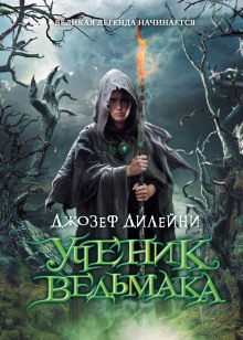 Сколько мечей у ведьмака по книге